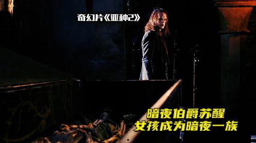 电影暗夜在线观看,网络深处的惊悚悬疑之旅 第1张 电影暗夜在线观看,网络深处的惊悚悬疑之旅 第1张